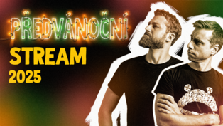 Předvánoční Stream 2025
